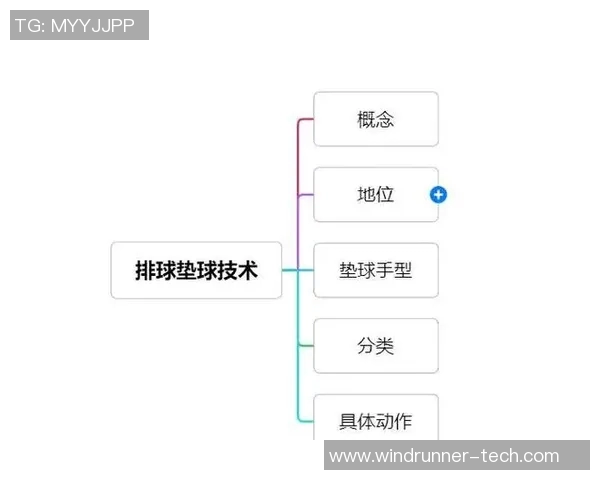杭州排球队灵活性解析：技术与战术的完美结合与创新发展