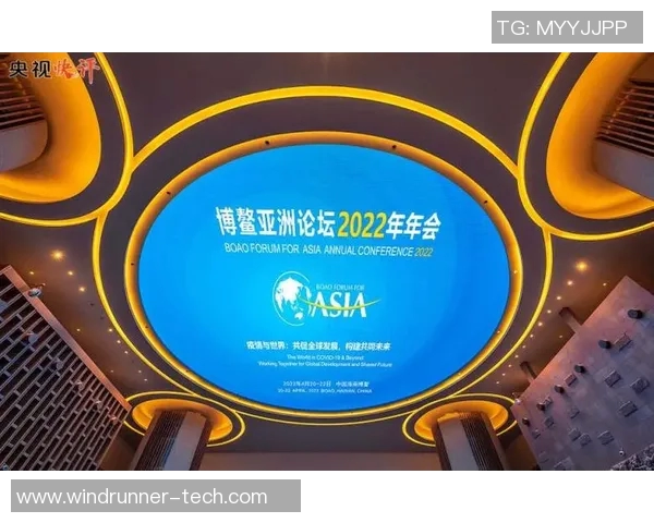 赖斯的崛起与挑战：探索其在国际关系中的影响与未来发展方向