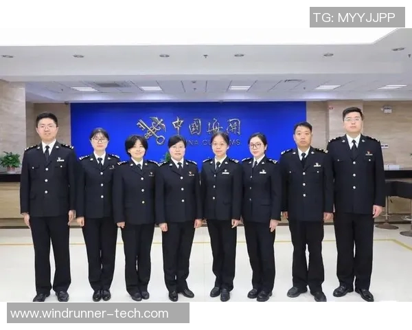 武汉排球队的成长之路：全国锦标赛背后的奋斗与荣耀